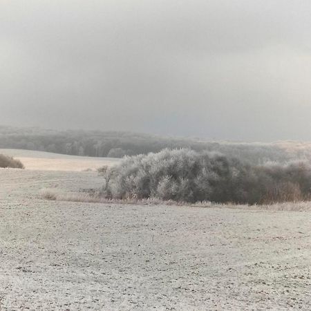 Ferienwohnung Uckermarkblick Ziehten Buitenkant foto
