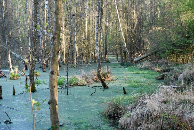 Ferienwohnung Uckermarkblick Ziehten Buitenkant foto